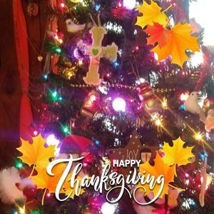 Meet your Posher, Patty